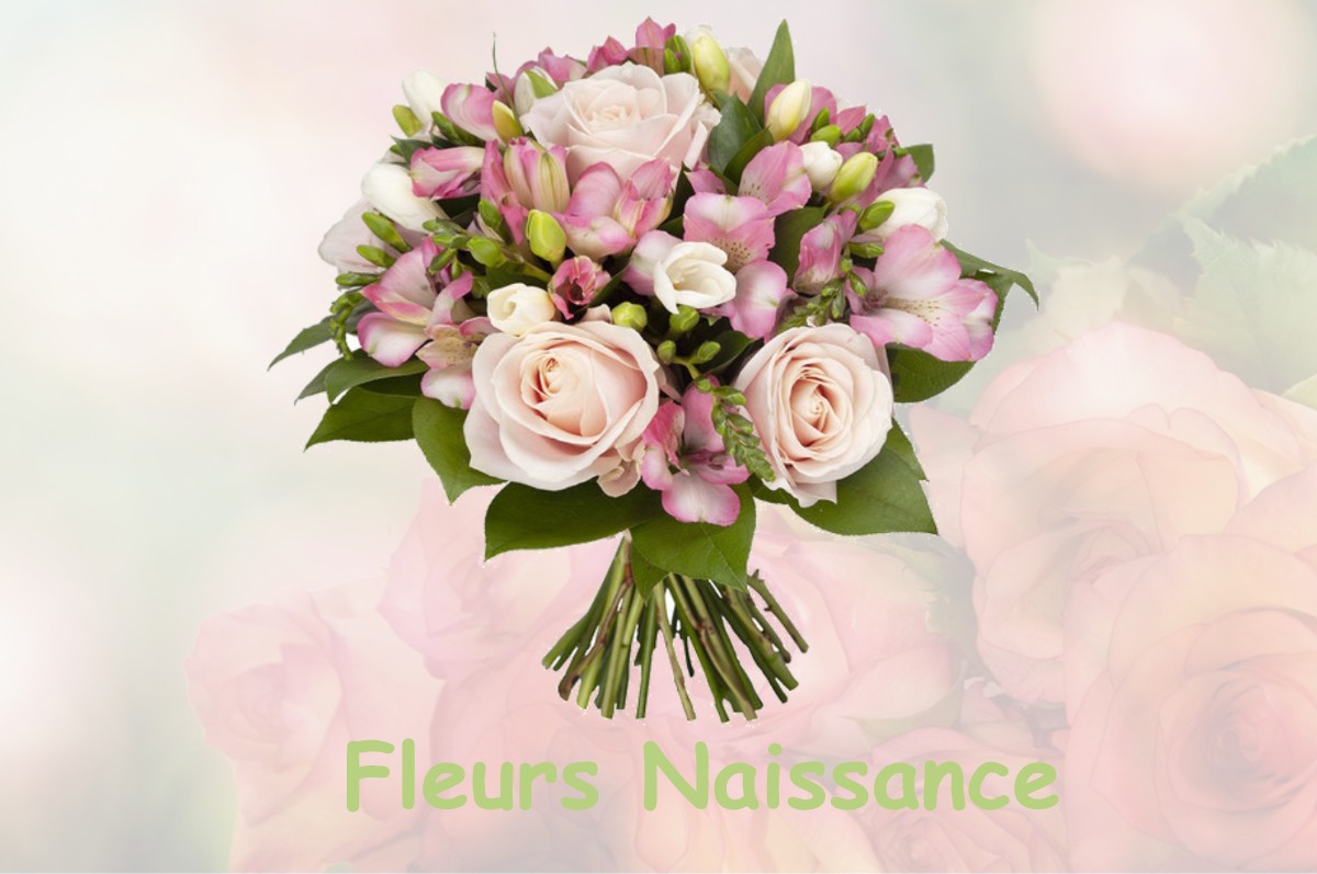 fleurs naissance FALICON